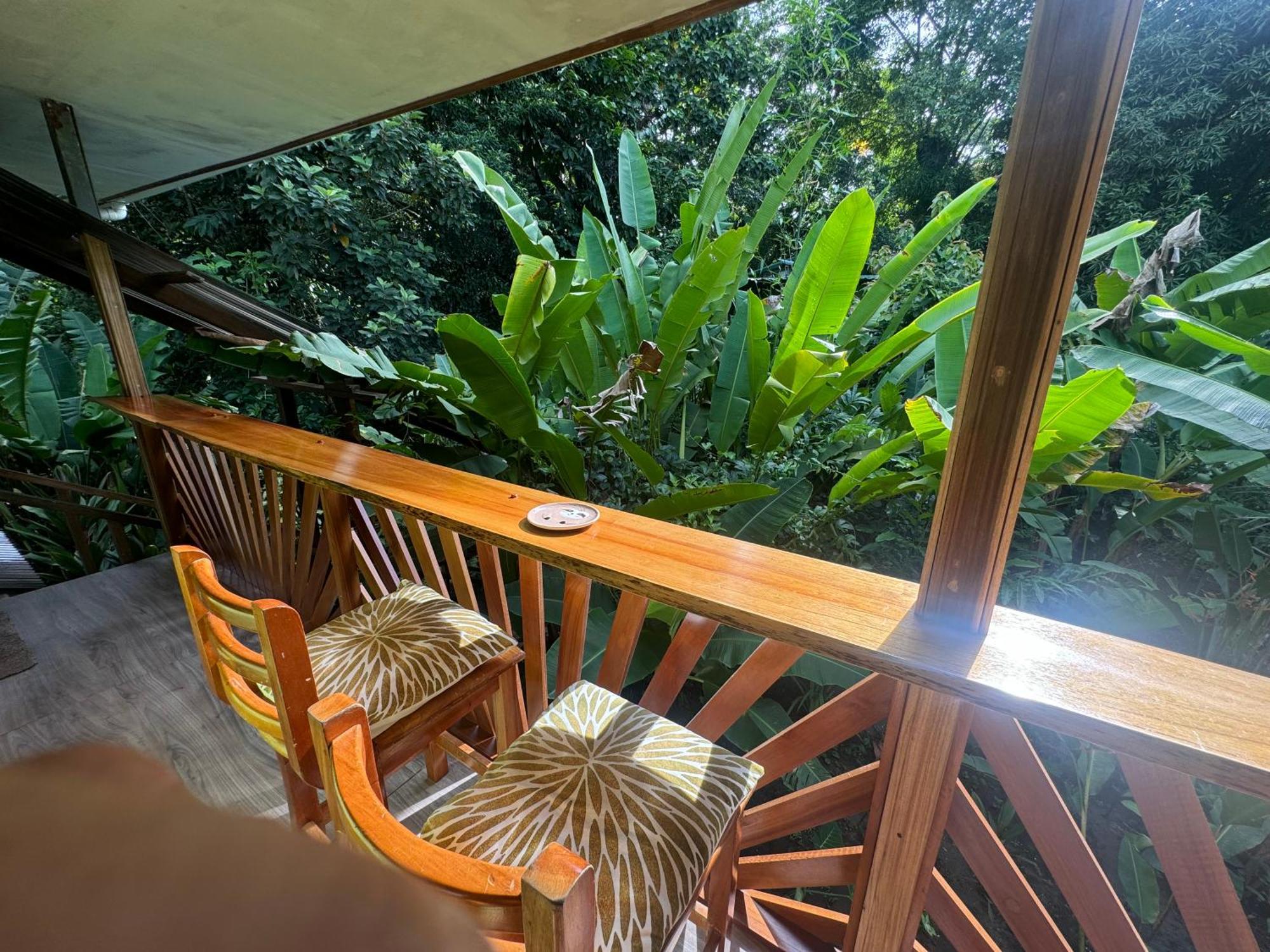 Chilamate Room 2 Tortuguero Exteriér fotografie